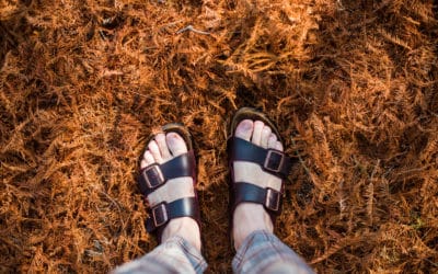 How To Wash Birkenstock Sandals