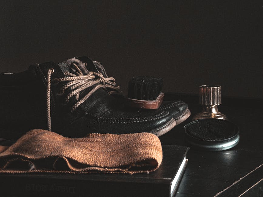 best shoe polish kit