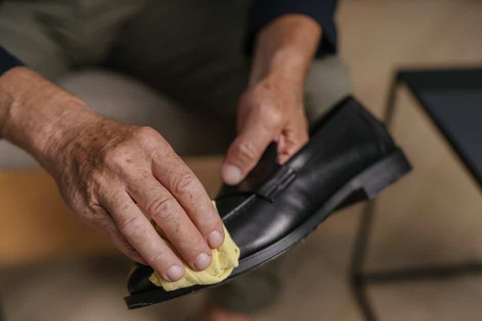 leather shoe care kit